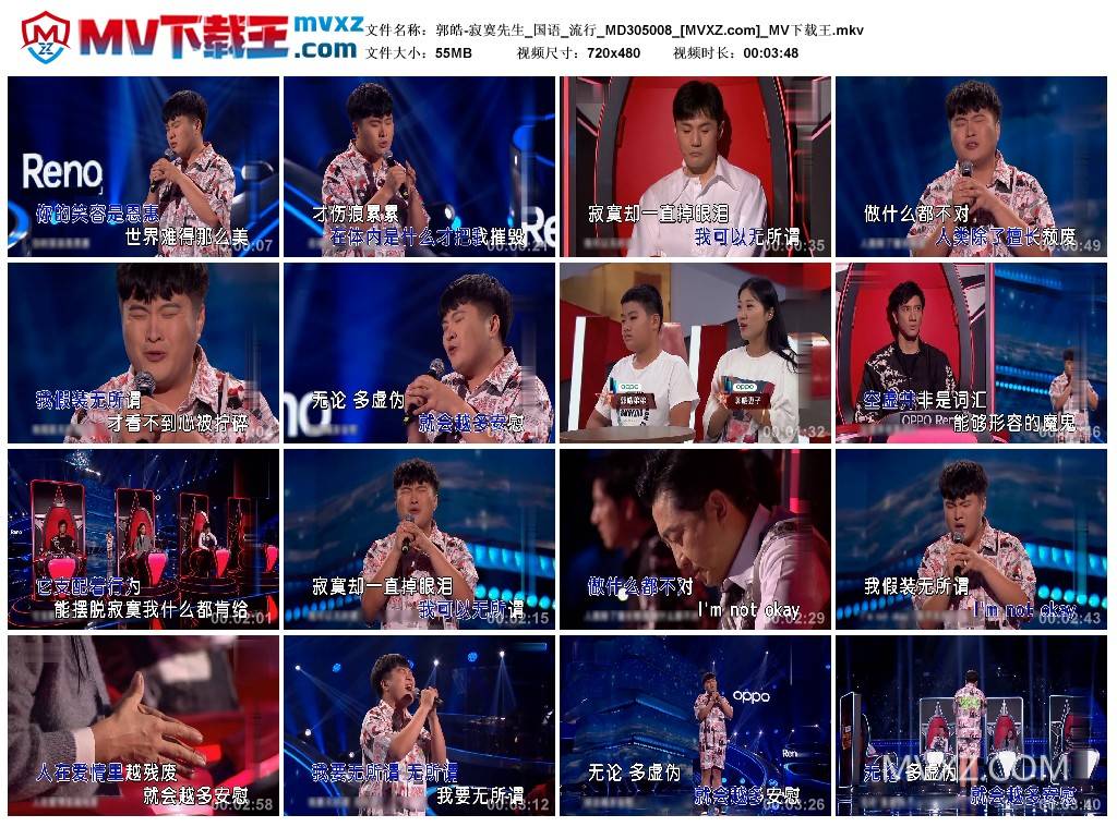 郭皓-寂寞先生_国语_流行_MD305008